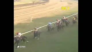 THE ARDENT KNIGHT PLATE  DIV -II  WINNER 