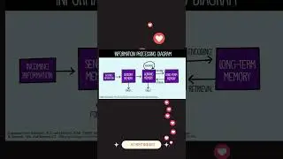 Information Processing Theory #InformationProcessingTheory #LearningTheories #YouTubeShorts