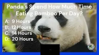 ANIMAL QUIZ! 1!  PANDAS, Elephants and HIPPOS, Oh My! #quiz #trivia #animaltrivia