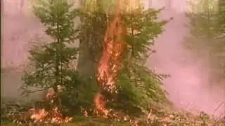 Deep River Saints - Red Flag Warning
