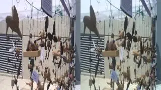 Wind Toys @ Nihomachi Street Fair (YT3D:Enable=True)