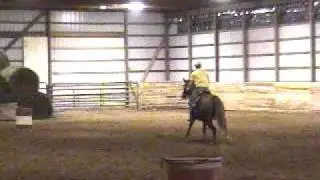 Dylan Marks Sugar  1D Barrel horse