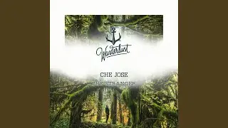 The Stranger (Extended Mix)