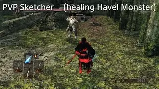 DARK SOULS 2:  Fighting a healing Havel Monster