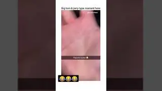 Cartoon physics 😹🤝🏻#shorts #trending #youtubeshorts #funny #viral #tomandjerry #cartoon #viralshorts