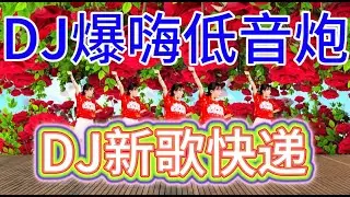 新歌发布5首精选《又是一年冬》《让自己醉一回》《冷冷的泪花》《我想要忘忘忘忘》《傻傻的女人最幸福》DJ爆嗨版，好听极了#DJ新歌#音乐#韩舞#靓女#美少女#流行歌曲#热门#劲爆歌曲