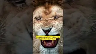 19 января 2026 г.