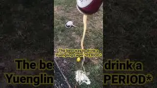 The best way to drink a Yuengling Lager 🙃#beer #shorts #drinks
