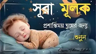 সুন্দর ঘুমের জন্য শুনুন সূরা আল মূলক | শান্ত ও আরামদায়ক তেলাওয়াত | Surah Mulk Bangla - Shamsul Haque