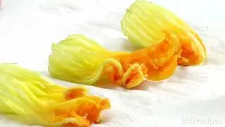 Как подготовить цветки тыквы