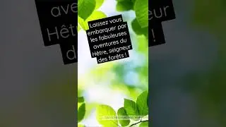 Les fabuleuses aventures du H&ecirc;tre !