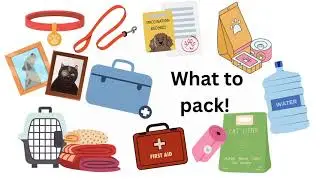 What you need in your pet emergency kit