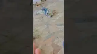 😢😢😢