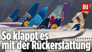 Flug storniert wegen Einreiseverbot: So bekommst du dein Geld zur&uuml;ck