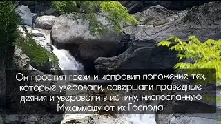 Чтец Тарик Мухаммад. 47 сура 