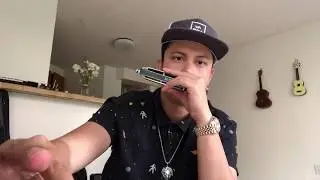 Chromatic Harmonica Blues Jam in E
