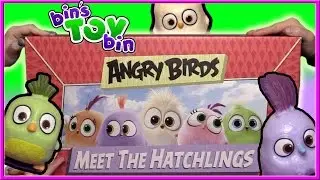 Angry Birds Meet The Hatchlings HUGE Surprise Toys Unboxing! | Bin's Toy Bin