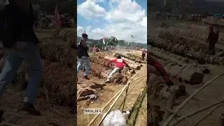 Tradisi jawa barat membuat kluwung  karbit #faktamenarik #shortvideo