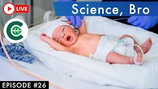 Наука, брат, балансировка почвы, мамы и опора