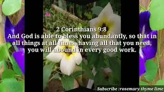 The promises of God   #rosemarythymelime #keystohappiness #Godpromises