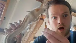 Why I Started Making DEAD RATS Into Pencilcases