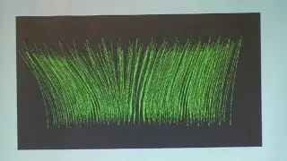 Steven Mattis talks about Modeling Coastal Vegetation