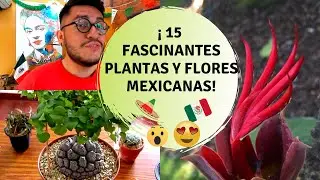 15 Plantas originarias de México / 15 Plantas nativas de México