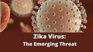 Zika Virus: The Emerging Threat