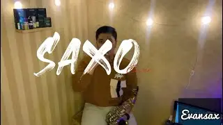 Ai Ni yi wan Nian - andy lau ( saxophone cover ) #andylau #chinesse #mandarin #song #cover #saxo