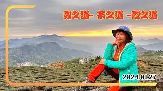 石棹霧之道-茶之道-霞之道 2024.01.27
