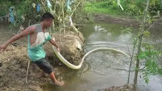 Amazing Fishing Technology, Use A Large Capacity Pump, Easy Catch Many Of Fish In The Lake