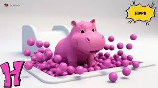 A to Z Baby Animals 🐾🌈 | Learn Colors & Animals for Kids | Fun Preschool Animation #abcd #kid