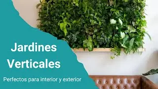 Variedad de Jardines Verticales