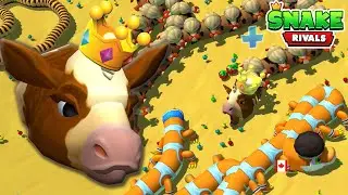 Snake Rivals - (Gameplay) - Muuubra Snake - Best Kills Pro Kills - Zero to Hero