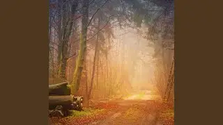 Walking Towards the Light (Original Motion Picture Soundtrack)