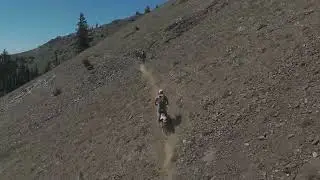 Alpine Singletrack Gold