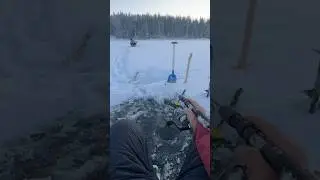 #icefishing #trout #troutfishing #fishing #camping #cooking #norway #outdoors