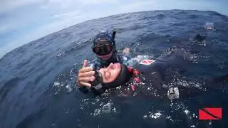 Immersion Freediving June 8 Intermediate course