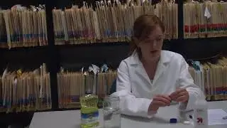 How to create a liquid marble
