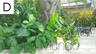 Center Parcs Bostalsee Aqua Mundo