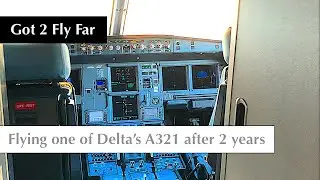 Delta New York JFK ✈ Miami MIA Airbus A321 economy class flight report