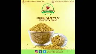 PREMIUM EXPORTER OF FENUGREE SEEDS