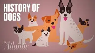 The Origin of Dogs