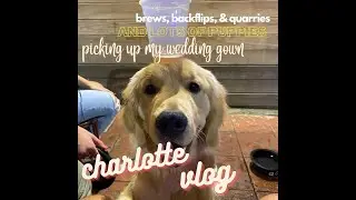 CHARLOTTE VLOG|| backflips at the quarry, come brewery hopping with us, picking up my wedding dress!
