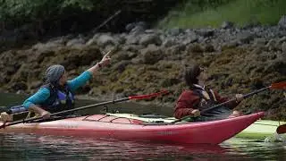 Visit Sitka Alaska Kayaking