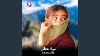 Dil to Tera