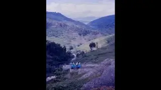 BUCUTI
