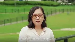 Vertis North Rain Garden | Stormwater management | Ayala Land Estates