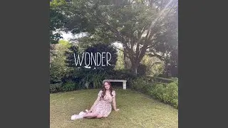Wonder
