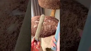 Portable 3-in-1 Steam Pet Brush: The Ideal Grooming Tool for Travel-Ready Pets
